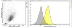 Complement Receptor C5aR Rat anti-Mouse, MilliporeSigma 25 &mu;g;Unconjugated:Antibodies,